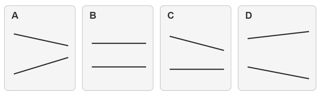 Question 10